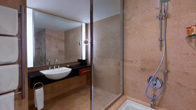 Deluxe River View Room